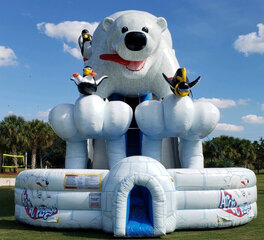 Artic Plunge Polar Bear Dry Slide