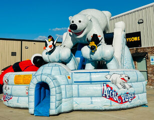 Artic Plunge Polar Bear Dry Slide