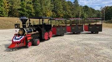 Trackless Trains