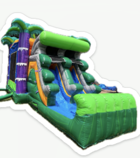 JUNGLE GYM 2 IN 1 DOUBLE SLIDE