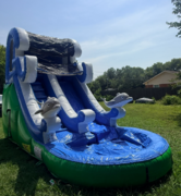 16FT DOLPHIN SLIDE