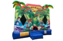 4 n 1 Tropical Dry Slide