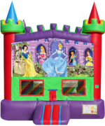 Castle 1Disney Princesses Banner