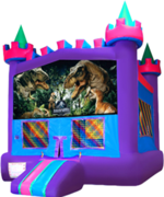 Castle 2Dinosaurs Banner