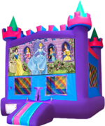 Castle 2Disney Princesses Banner