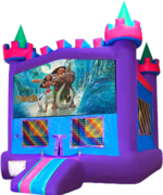 Castle 2Moana Banner