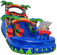 16FT BLUE DOLPHIN SPLASH