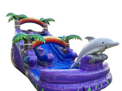 16FT PURPLE DOLPHIN SPLASH