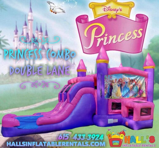 Princess combo wet/dry