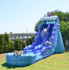 19ft DOLPHINS SLIDE / W POOL