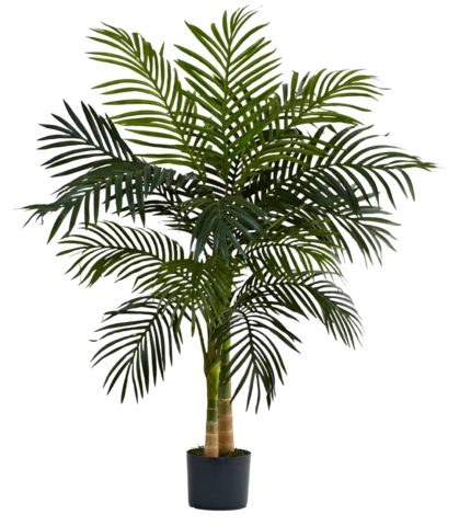 Plant - Small Palm Tree