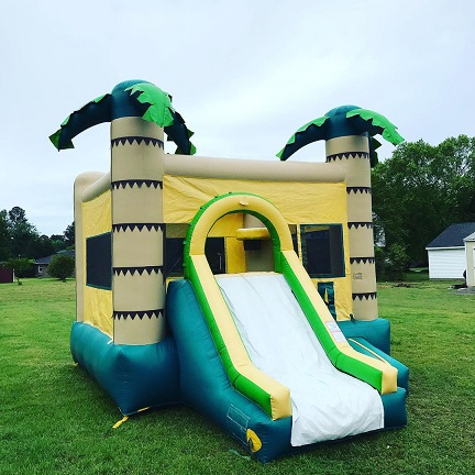 Palm with Slide Bounce House, Poquoson, VA