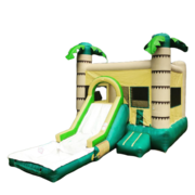 Palm w/ Slide and Water Tub