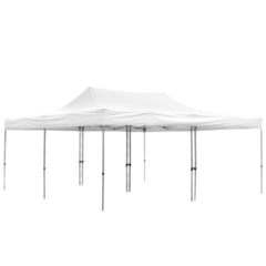 20' x 20' Tent