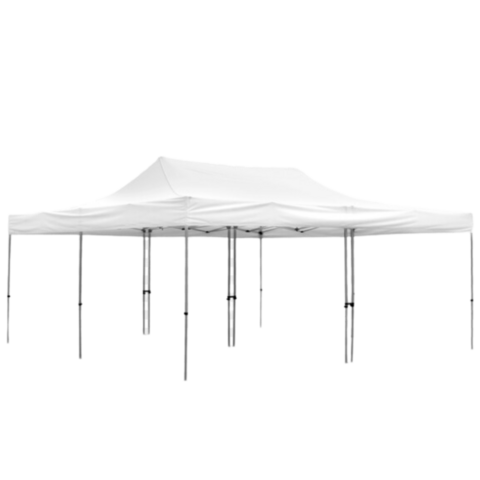 20' x 20' Tent