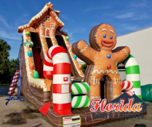 Holiday Inflatable Rentals