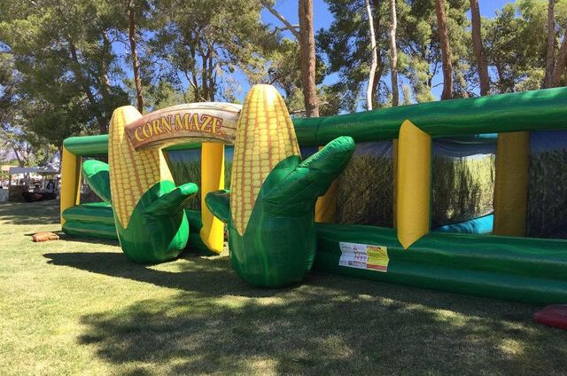 Inflatable Obstacle Course Rentals in Tavares