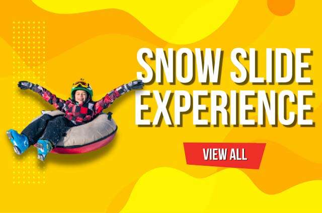 Minneola Snow Slide Experience Rentals
