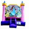 Disney Princess Bounce House Rental in Groveland