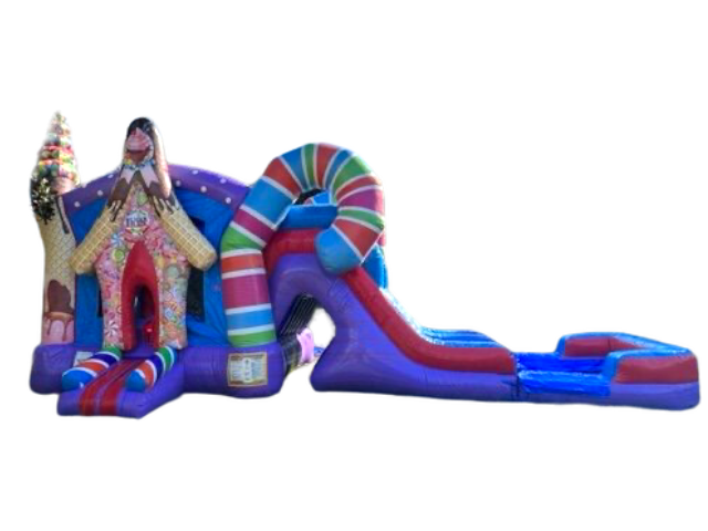 Candy Land Bounce House With Wet Double Slide and Pool 