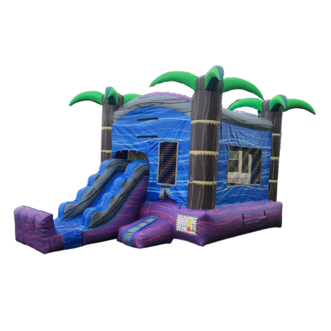 Dry Tropical Bounce House With Slide