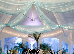 Ceiling Drape