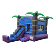 Dry Tropical Bounce House With Slide