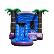 Tropical Wet Mini Bounce House With Slide 