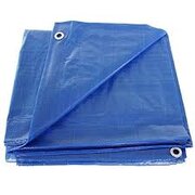 Tarp