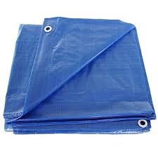 Tarp