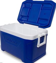 50qt Igloo 