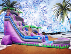 WATER SLIDES