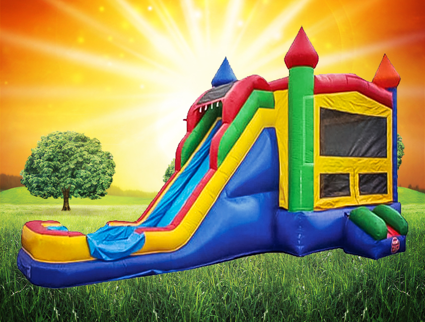 Water Slide Rental Services