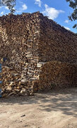 Seasoned oak firewood 