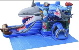 Dual lane Shark combo wet/dry