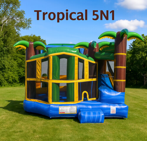 5N1 palm tree combo