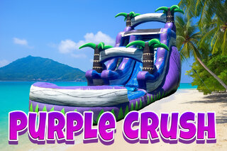 <span style='color: black;'>18FT Purple Crush</span>
