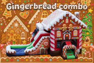 Gingerbread Combo