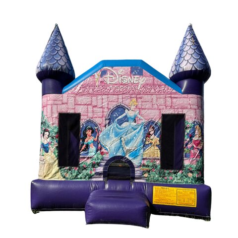 Disney Princess Castle