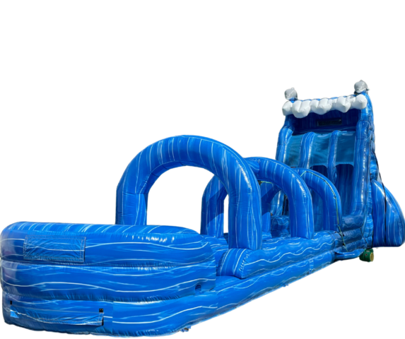 24 Foot Double Lane Dolphin Water Slide