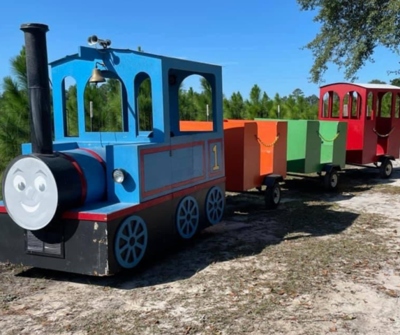 Trackless Train