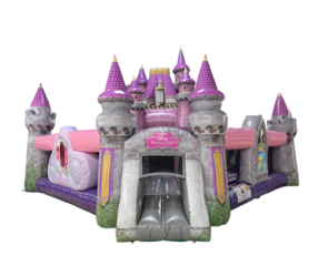 Disney Princess Castle Playground