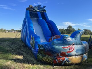 Shark Slide