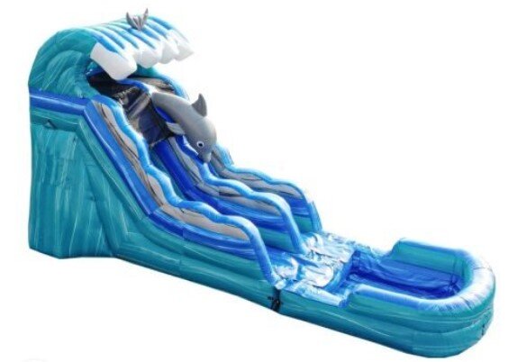 Dolphin 15' Water Slide