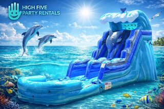 Dolphin 15' Water Slide
