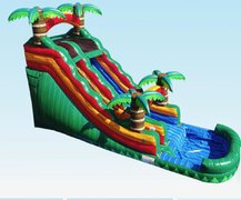 Super Tropical Water Slide