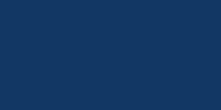 Navy Napkin Color