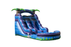 15ft Tropical Glides Dual lane Waterslide