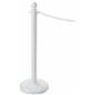 White Plastic Stanchions