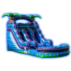 15ft Tropical Glides Dual lane Waterslide